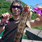 佐藤ロヴ介