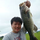 SAY