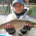 Yuuto