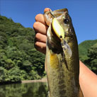 侍リベラル