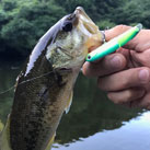 侍リベラル