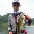 魚鷹