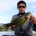 魚鷹