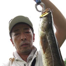 Bass 777
