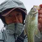 陸人