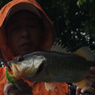 Bass 777