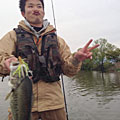 かけやん
