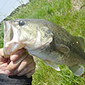三度の飯＜釣り