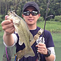 Tatsuyoung