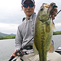yoshiharu