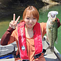 sato