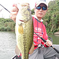 yoshiharu