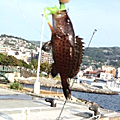 Saka