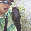 T-Ito