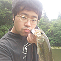 青ひげ