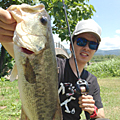 MIHARU