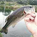 安藤浩輝