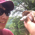 けん