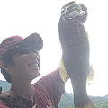 けん