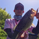 魚鷹