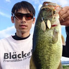魚鷹