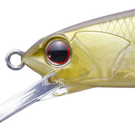 琵琶湖プロガイド森田哲広のガイド中、ルドラFで63cmのビッグバスがキャッチされました!!