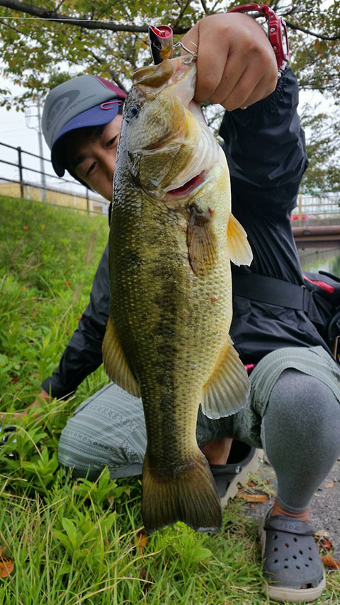 ヤマトjr.