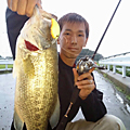 後藤和樹