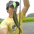きむ