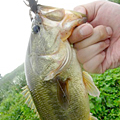 三度の飯＜釣り