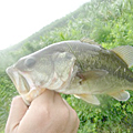 三度の飯＜釣り