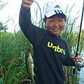 やまタンJr.