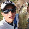 ハマヤス