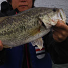 keisuke