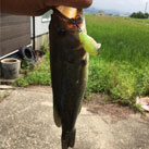 場陣魔人