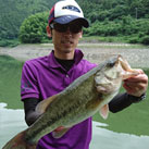 魚鷹