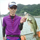 魚鷹