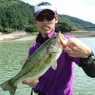 魚鷹