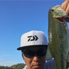 CHIBAFORNIA