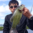 魚鷹