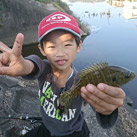 TOYAMAのJr.