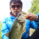 魚鷹