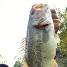 44_fishing