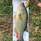 44_fishing