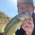 えのやん