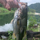リク
