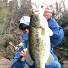 Sagami river gambler