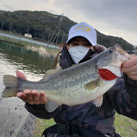 Ryo