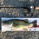 otafish