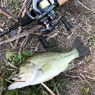 otafish